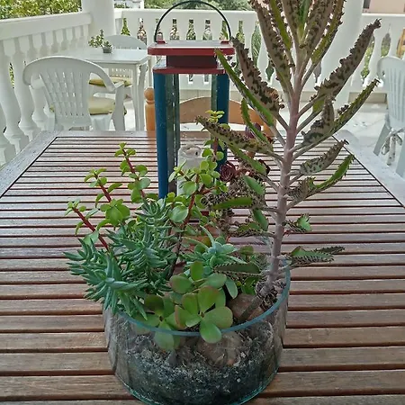 Casa Valentina Javea